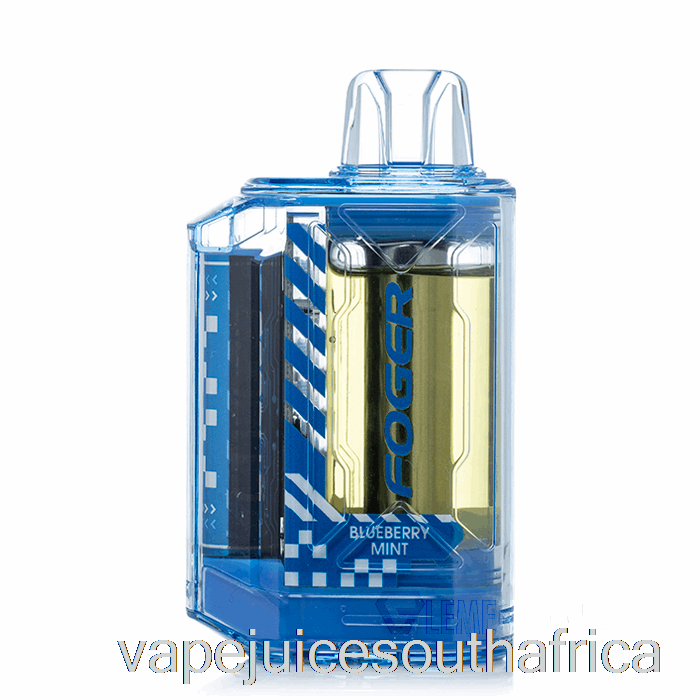 Vape Juice South Africa Foger Ct10000 Disposable Blueberry Mint